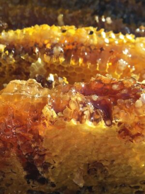 soil honey, original ecology, natural-1534287.jpg